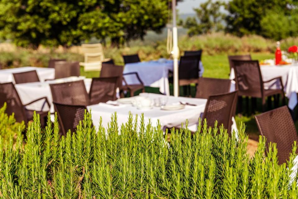 Agriturismo & Cantina Tenuta Casteani Ribolla 외부 사진