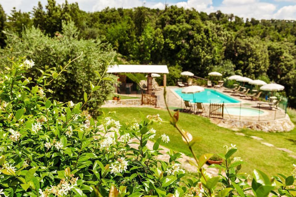 Agriturismo & Cantina Tenuta Casteani Ribolla 외부 사진