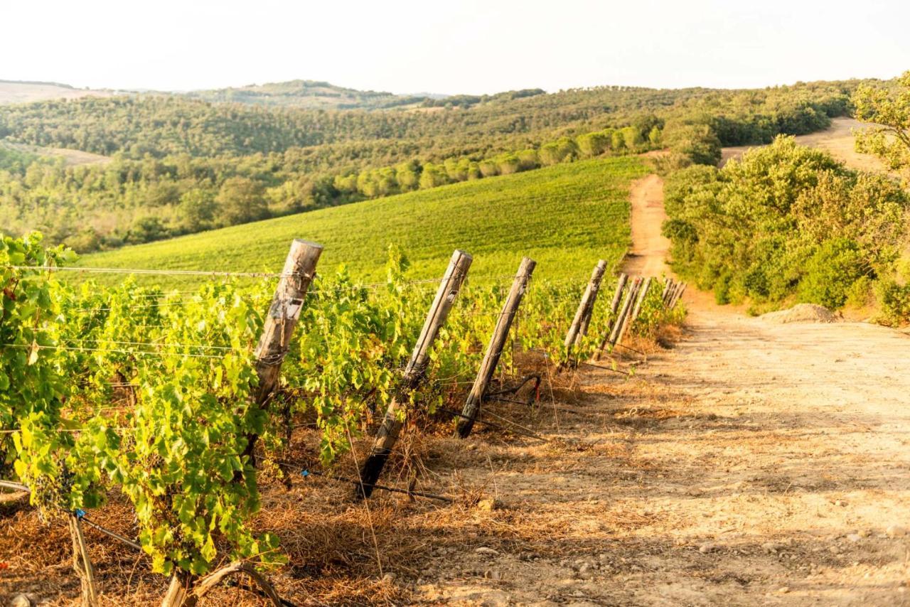 Agriturismo & Cantina Tenuta Casteani Ribolla 외부 사진