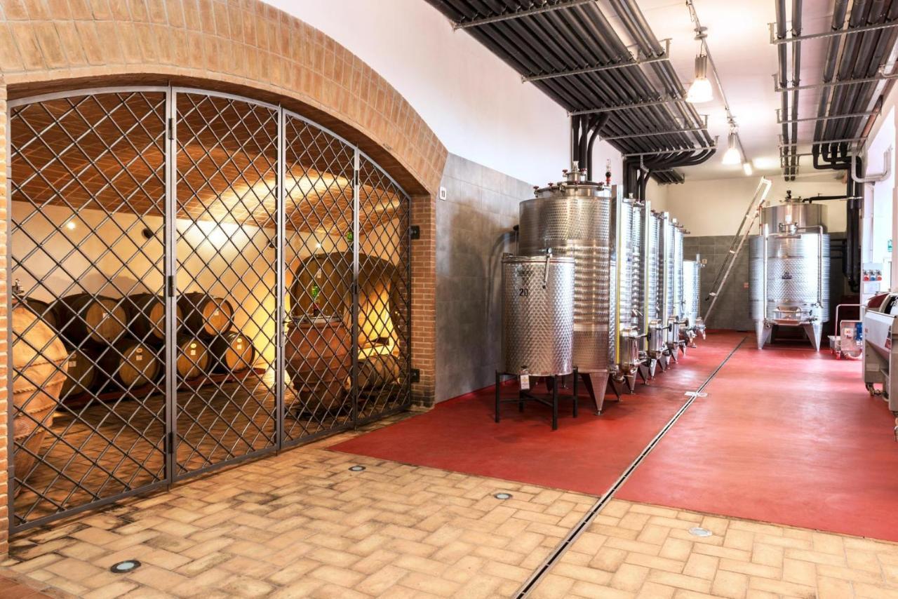 Agriturismo & Cantina Tenuta Casteani Ribolla 외부 사진